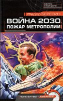 Война 2030. Пожар Метрополии